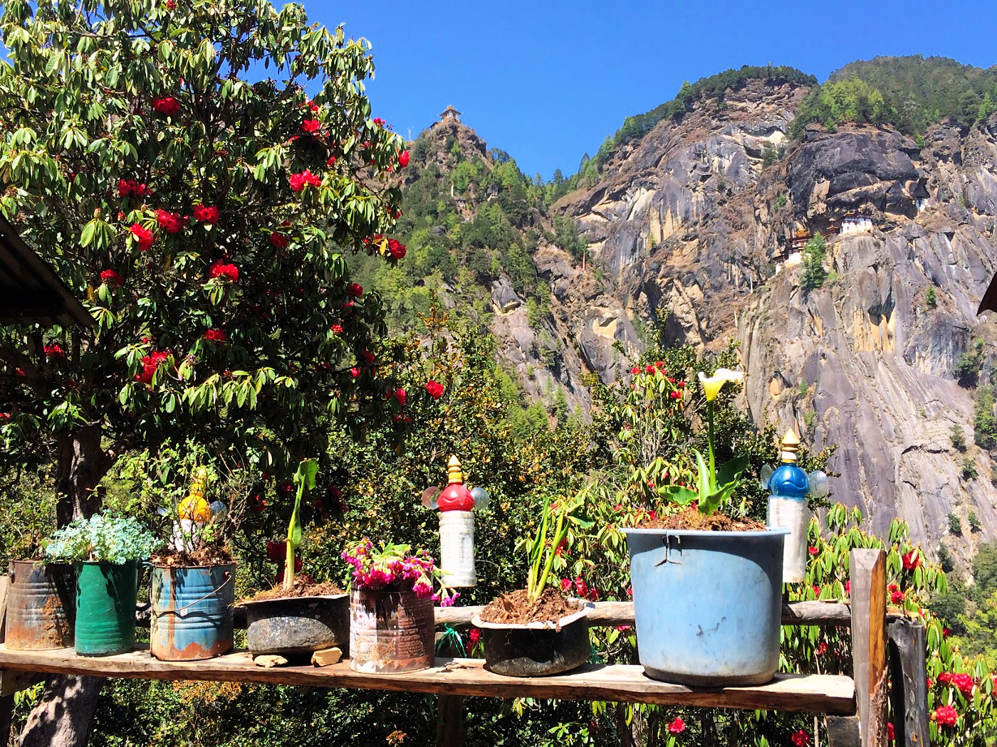 A view of the Tigers Monastery from the cafe area.