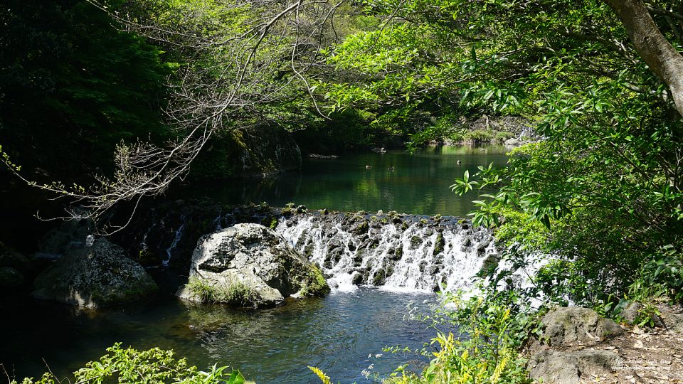 A small waterfall in Cheongjiyeon area.