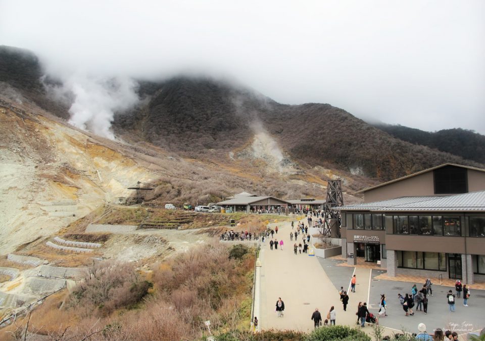 The volcanic crater of Owakudani. 