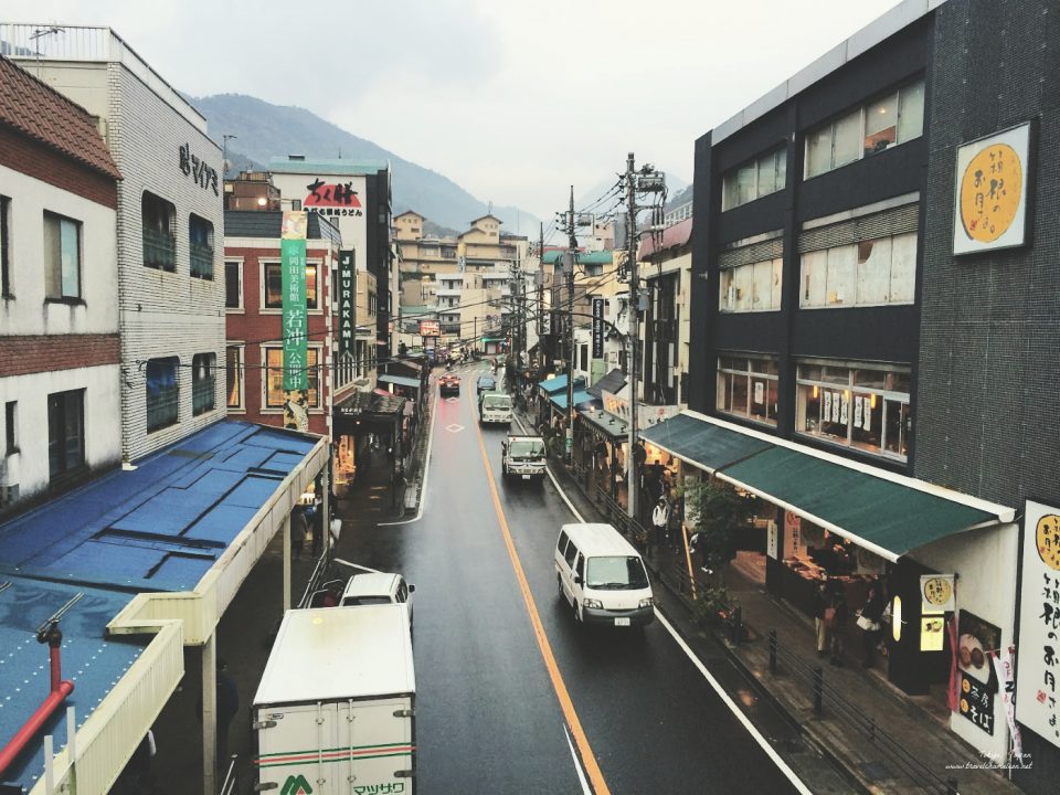 The cute little town of Hakone.