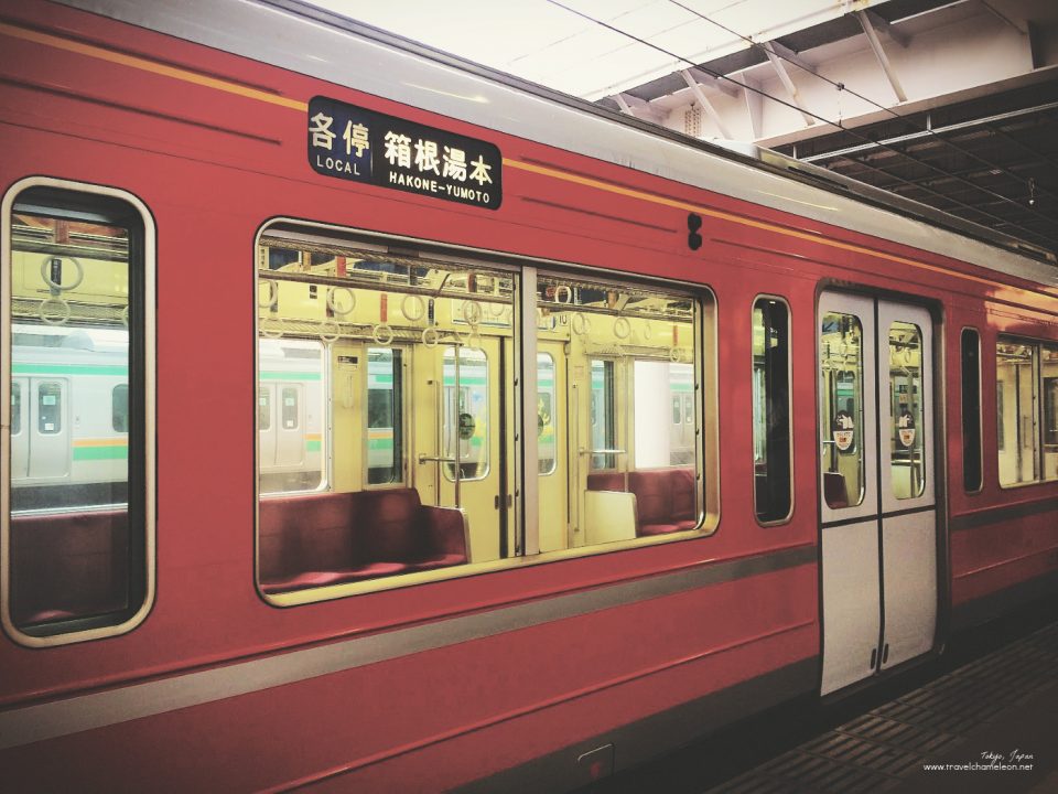 Taking the Hakone-Yumoto train to Gora.